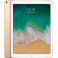 iPad Pro 12.9 (Wi-Fi)